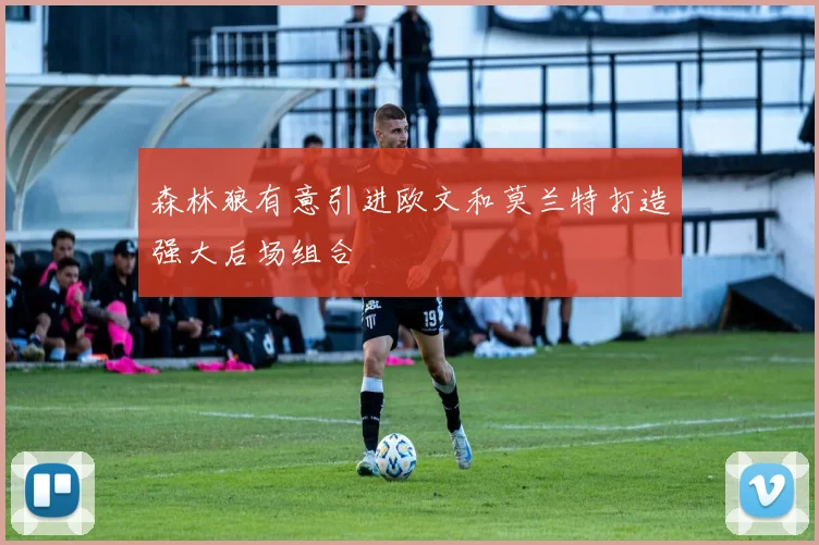 森林狼有意引进欧文和莫兰特打造强大后场组合