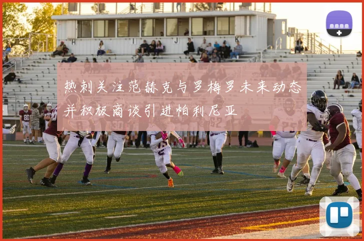 热刺关注范赫克与罗梅罗未来动态并积极商谈引进帕利尼亚
