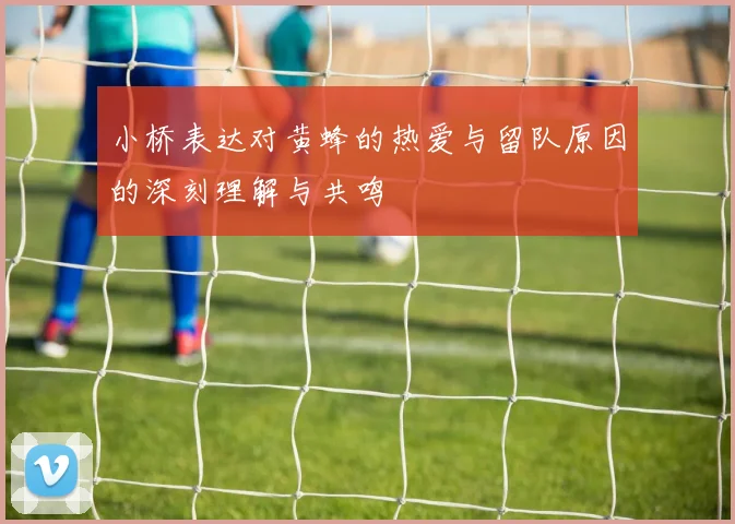 小桥表达对黄蜂的热爱与留队原因的深刻理解与共鸣