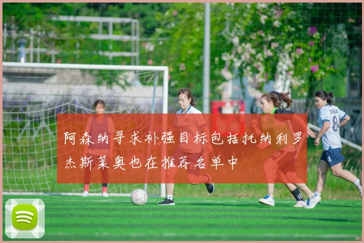 阿森纳寻求补强目标包括托纳利罗杰斯莱奥也在推荐名单中